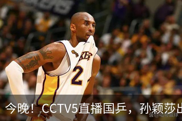 今晚！CCTV5直播国乒，孙颖莎出战，王曼昱PK陈熠，张本美和VS张安