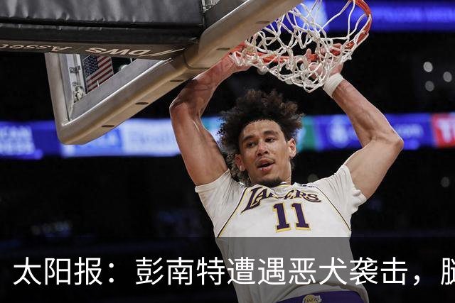 太阳报：彭南特遭遇恶犬袭击，腿部缝50余针，自家爱犬救主