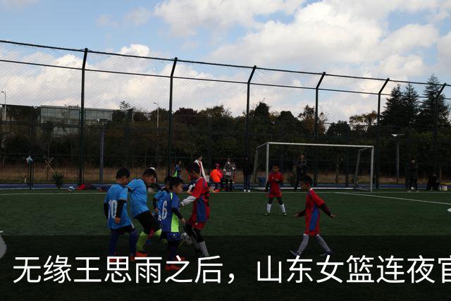 无缘王思雨之后，山东女篮连夜官宣新外援，给张子宇传球的人来了
