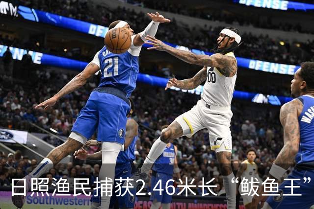 日照渔民捕获2.46米长“鲅鱼王”，重达268斤，当地一水饺厂老板花数万元买下：原想做成鲅鱼水饺，改了主意想把它做成标本
