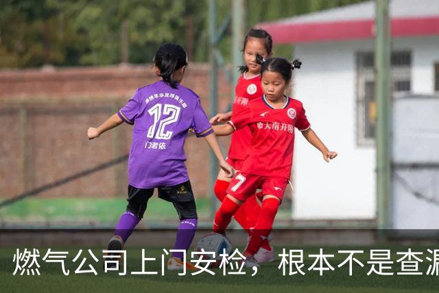 燃气公司上门安检，根本不是查漏气！真正目的其实是这三件事