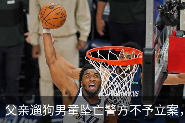 父亲遛狗男童坠亡警方不予立案，母亲最新发声