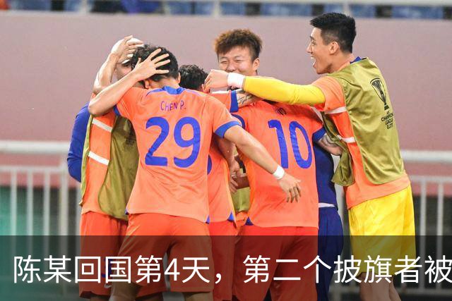 陈某回国第4天，第二个披旗者被揪了出来，现形后想销号跑路