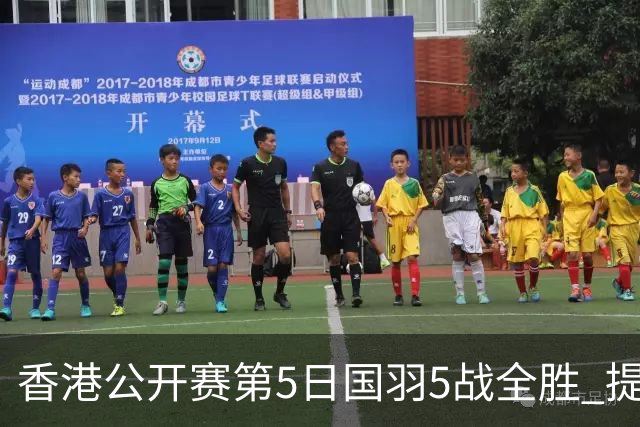 香港公开赛第5日国羽5战全胜 提前包揽混双冠亚军