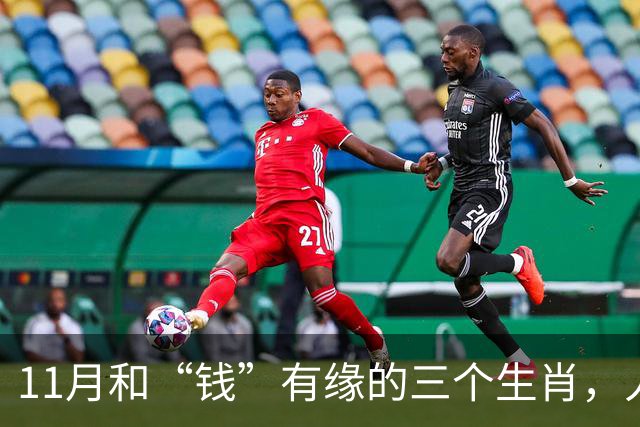 11月和“钱”有缘的三个生肖，人缘好人聪明，赚钱总有路可走